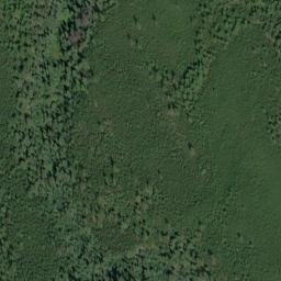 Satellite imagery of Logging Ridge, US