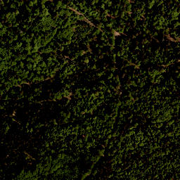 Satellite imagery of Studničná [Nová Pec], CZ