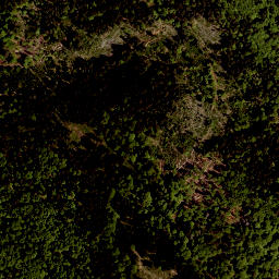 Satellite imagery of Studničná [Nová Pec], CZ