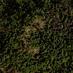 Satellite imagery of Studničná [Nová Pec], CZ