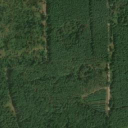 Satellite imagery of (Boří les) [Valtice], CZ