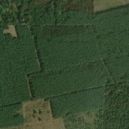 Satellite imagery of (Boří les) [Valtice], CZ