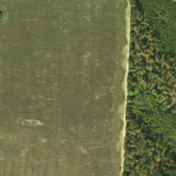 Satellite imagery of survey_point, SK