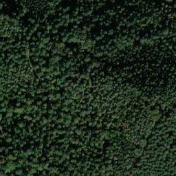 Satellite imagery of Schwann, DE