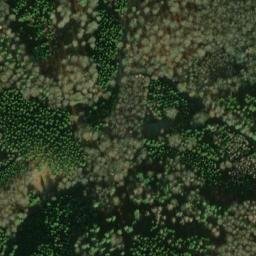 Satellite imagery of Kohlhau, DE