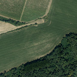 Satellite imagery of VIII/61-1C, AT