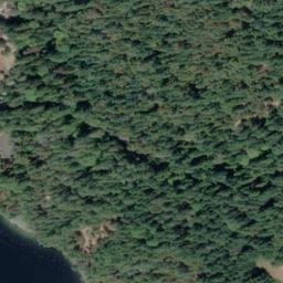 Satellite imagery of Musgrave Point, CA