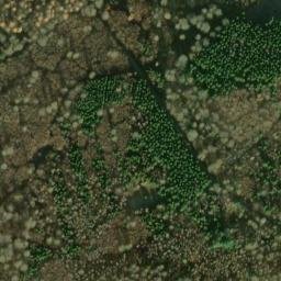 Satellite imagery of Kohlhau, DE