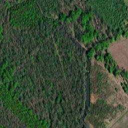 Satellite imagery of (Panův les) [Tvrdonice], CZ
