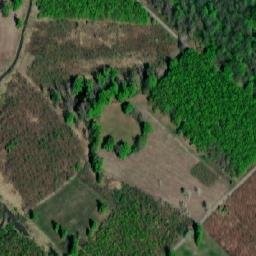 Satellite imagery of (Panův les) [Tvrdonice], CZ