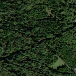 Satellite imagery of Baumwipfelpfad Nordschwarzwald, DE