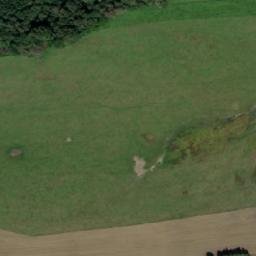 Satellite imagery of Jelínek [Benešov nad Černou-Valtéřov], CZ