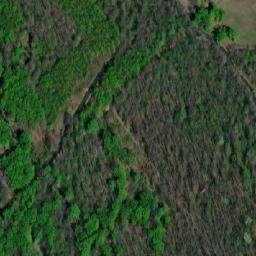 Satellite imagery of (Panův les) [Tvrdonice], CZ