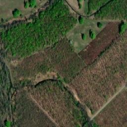 Satellite imagery of (Panův les) [Tvrdonice], CZ