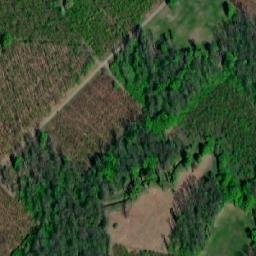 Satellite imagery of (Panův les) [Tvrdonice], CZ