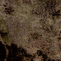 Satellite imagery of Smrčina [Horní Planá], AT