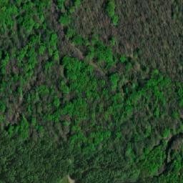 Satellite imagery of (Panův les) [Tvrdonice], CZ