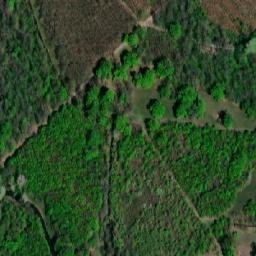 Satellite imagery of (Panův les) [Tvrdonice], CZ