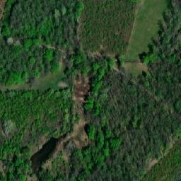 Satellite imagery of (Panův les) [Tvrdonice], CZ