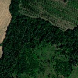 Satellite imagery of Surovin, SK