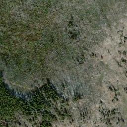 Satellite imagery of Timothy Ridge, US