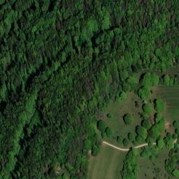 Satellite imagery of Kaltes Feld, DE