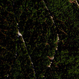 Satellite imagery of Zwiesel Berg, AT