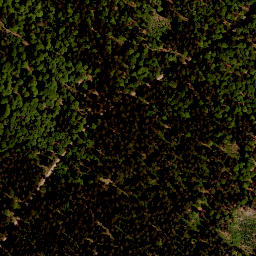 Satellite imagery of Zwiesel Berg, AT