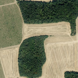 Satellite imagery of Staré hory [Valtice-Úvaly], CZ