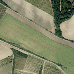 Satellite imagery of U topolů [Valtice], CZ