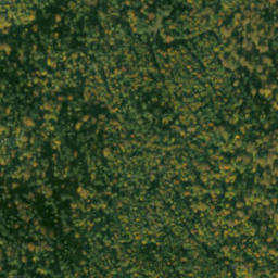 Satellite imagery of survey_point, SK