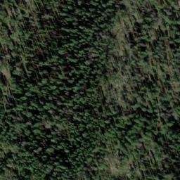 Satellite imagery of Alligator Ridge, US