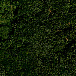 Satellite imagery of Flachsberg, DE