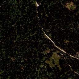 Satellite imagery of Zwiesel Berg, AT