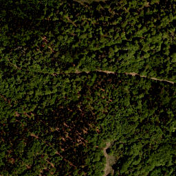 Satellite imagery of Hochficht, AT