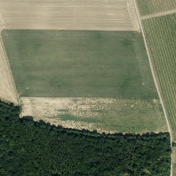 Satellite imagery of Staré hory [Valtice-Úvaly], CZ