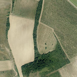 Satellite imagery of U topolů [Valtice], CZ