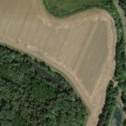 Satellite imagery of Padělky [Lanžhot], CZ