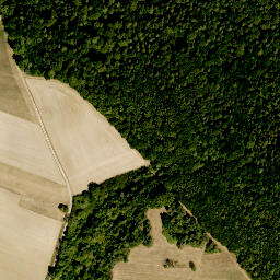 Satellite imagery of Flachsberg, DE