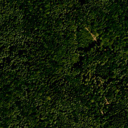 Satellite imagery of Flachsberg, DE