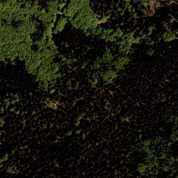 Satellite imagery of Tokaniště [Horní Planá-Zvonková], CZ