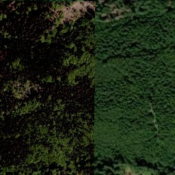 Satellite imagery of Tokaniště [Horní Planá-Zvonková], CZ