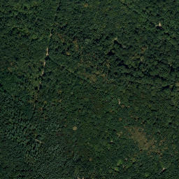 Satellite imagery of X/10, X/10Ö, AT