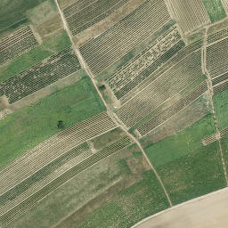 Satellite imagery of X/22-6, AT