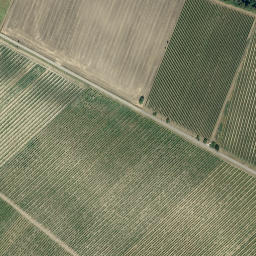 Satellite imagery of U topolů [Valtice], CZ