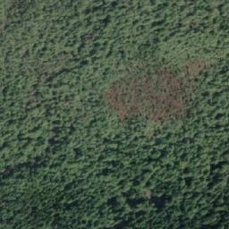 Satellite imagery of Pachena Point, CA