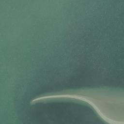 Satellite imagery of Brant Point, US