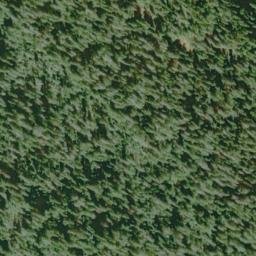 Satellite imagery of Forest Divide, US