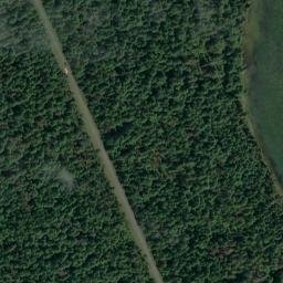 Satellite imagery of Tripod Point, US