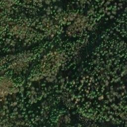 Satellite imagery of Nameless Point, DE